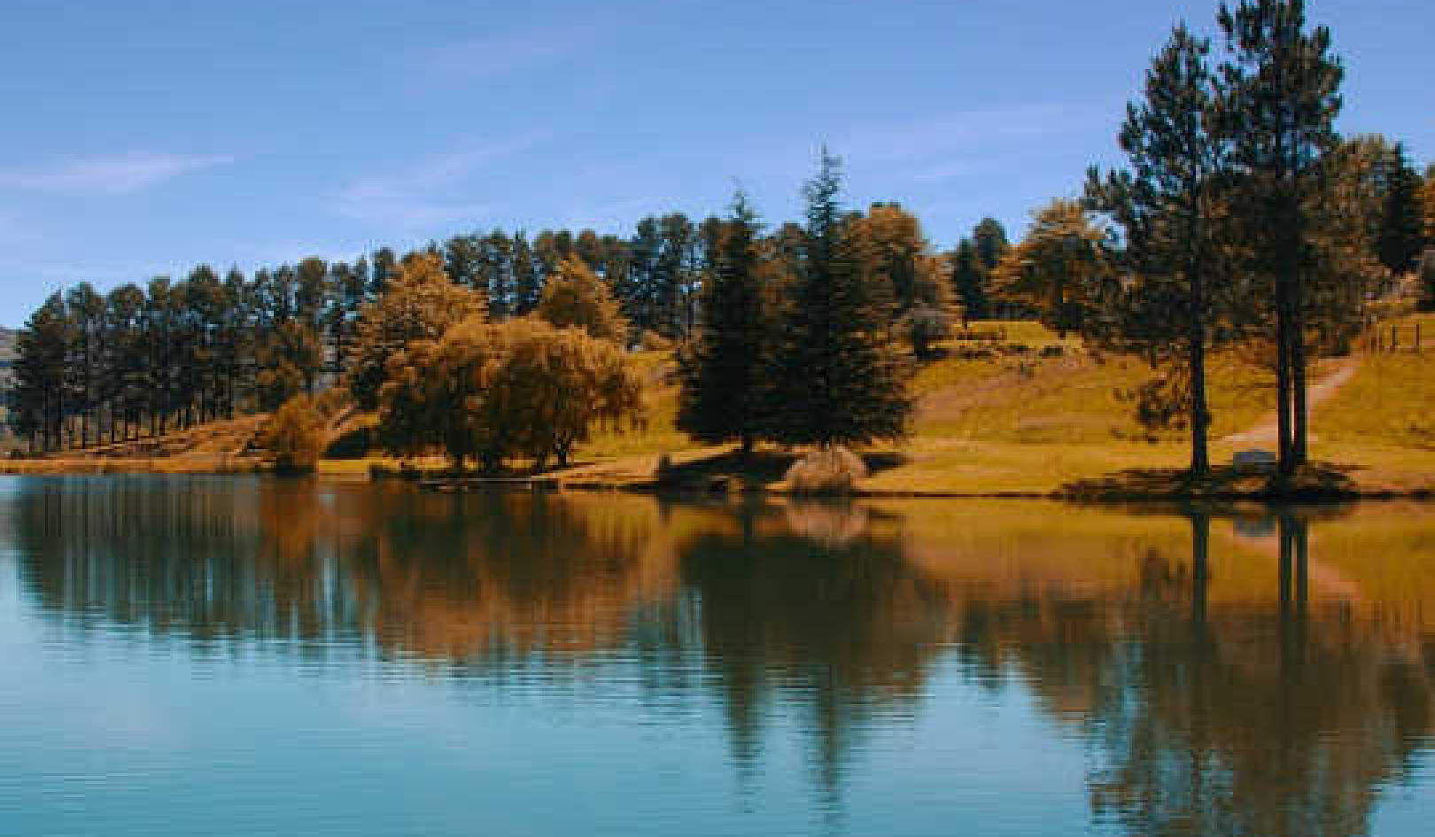 Cultivating Wisdom Through Nature and Nurturing